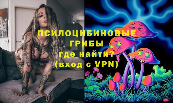 СК Алексеевка