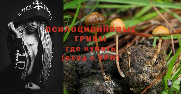 не бодяженный Алзамай