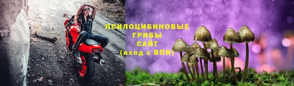 не бодяженный Алзамай