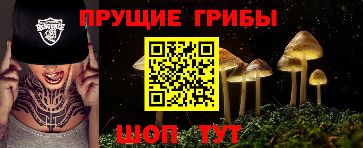 Галлюциногенные грибы Psilocybe Волхов