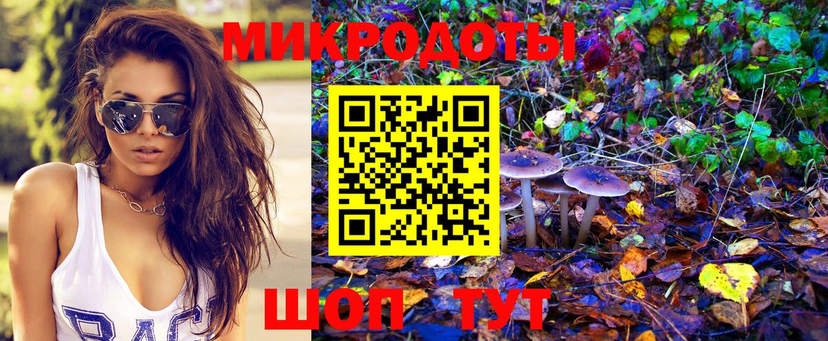 цена наркотик  Галлюциногенные грибы Psilocybe  Вход с VPN  Волхов 
