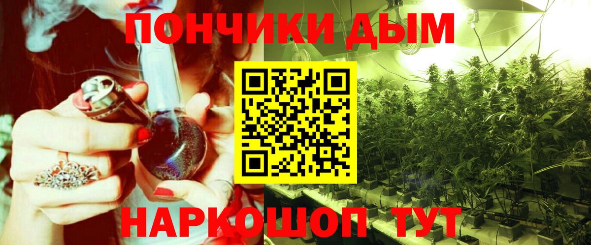 Каннабис план Волхов